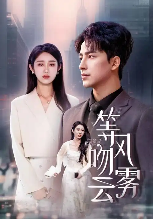 达达兔影院热播电视剧雾港封面